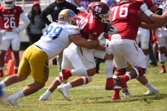 autenticos-tigres-aguilas-blancas-onefa-2025-33