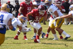 autenticos-tigres-aguilas-blancas-onefa-2025-35