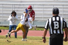 autenticos-tigres-aguilas-blancas-onefa-2025-38