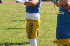 autenticos-tigres-aguilas-blancas-onefa-2025-4