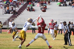 autenticos-tigres-aguilas-blancas-onefa-2025-40