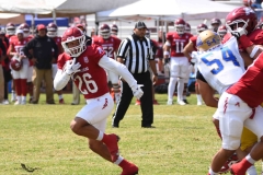 autenticos-tigres-aguilas-blancas-onefa-2025-42