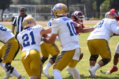 autenticos-tigres-aguilas-blancas-onefa-2025-44