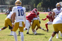 autenticos-tigres-aguilas-blancas-onefa-2025-45