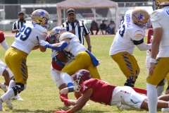 autenticos-tigres-aguilas-blancas-onefa-2025-46