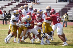 autenticos-tigres-aguilas-blancas-onefa-2025-50