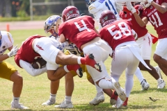 autenticos-tigres-aguilas-blancas-onefa-2025-55