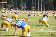 autenticos-tigres-aguilas-blancas-onefa-2025-6