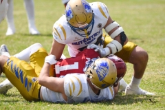 autenticos-tigres-aguilas-blancas-onefa-2025-61