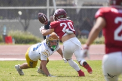 autenticos-tigres-aguilas-blancas-onefa-2025-63