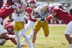 autenticos-tigres-aguilas-blancas-onefa-2025-66