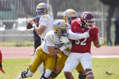 autenticos-tigres-aguilas-blancas-onefa-2025-67