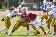 autenticos-tigres-aguilas-blancas-onefa-2025-70