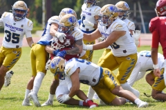 autenticos-tigres-aguilas-blancas-onefa-2025-71