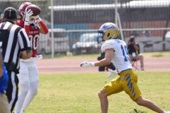 autenticos-tigres-aguilas-blancas-onefa-2025-73