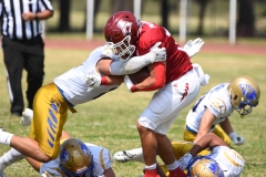 autenticos-tigres-aguilas-blancas-onefa-2025-76