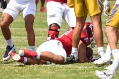 autenticos-tigres-aguilas-blancas-onefa-2025-79