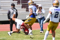 autenticos-tigres-aguilas-blancas-onefa-2025-80