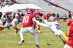 autenticos-tigres-aguilas-blancas-onefa-2025-81