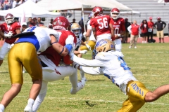 autenticos-tigres-aguilas-blancas-onefa-2025-82