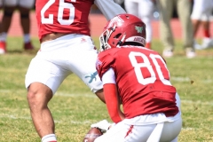 autenticos-tigres-aguilas-blancas-onefa-2025-84