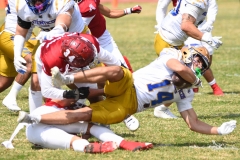 autenticos-tigres-aguilas-blancas-onefa-2025-86