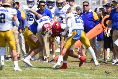 autenticos-tigres-aguilas-blancas-onefa-2025-9