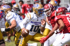autenticos-tigres-aguilas-blancas-onefa-2025-90