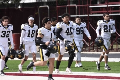 zorros-cetys-buhos-ipn-onefa-2024-1