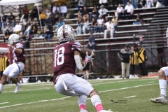 zorros-cetys-buhos-ipn-onefa-2024-108