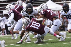 zorros-cetys-buhos-ipn-onefa-2024-109