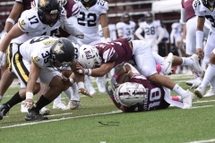 zorros-cetys-buhos-ipn-onefa-2024-110