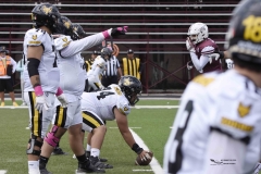 zorros-cetys-buhos-ipn-onefa-2024-115