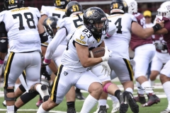 zorros-cetys-buhos-ipn-onefa-2024-117