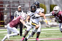 zorros-cetys-buhos-ipn-onefa-2024-120