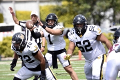 zorros-cetys-buhos-ipn-onefa-2024-121