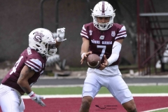 zorros-cetys-buhos-ipn-onefa-2024-122