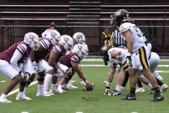 zorros-cetys-buhos-ipn-onefa-2024-124