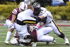 zorros-cetys-buhos-ipn-onefa-2024-128