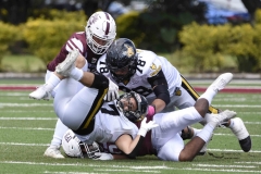 zorros-cetys-buhos-ipn-onefa-2024-129