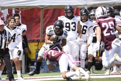 zorros-cetys-buhos-ipn-onefa-2024-132