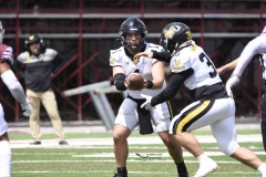 zorros-cetys-buhos-ipn-onefa-2024-134