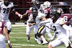 zorros-cetys-buhos-ipn-onefa-2024-137