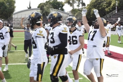 zorros-cetys-buhos-ipn-onefa-2024-140