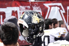 zorros-cetys-buhos-ipn-onefa-2024-145