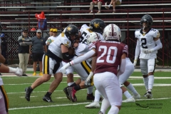 zorros-cetys-buhos-ipn-onefa-2024-167