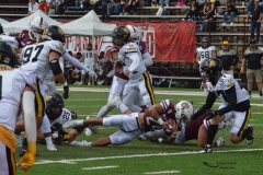 zorros-cetys-buhos-ipn-onefa-2024-169