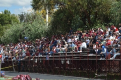 zorros-cetys-buhos-ipn-onefa-2024-176