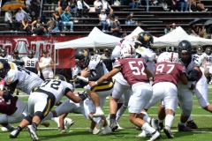 zorros-cetys-buhos-ipn-onefa-2024-178