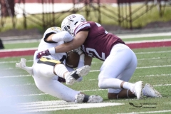 zorros-cetys-buhos-ipn-onefa-2024-18